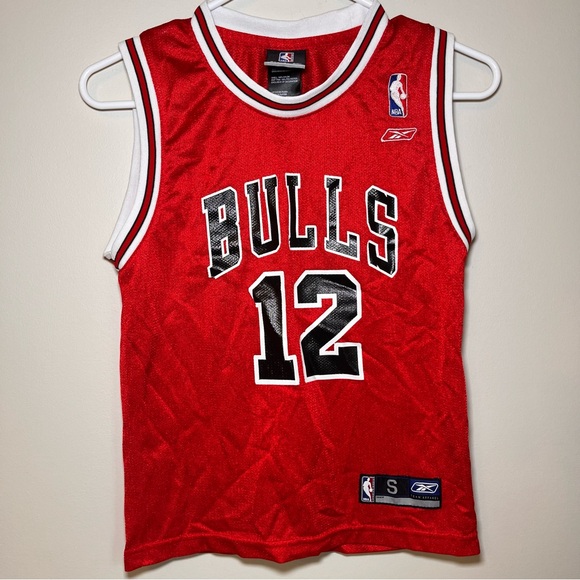 NBA Kirk Hinrich Bulls Jersey - Picture 1 of 12